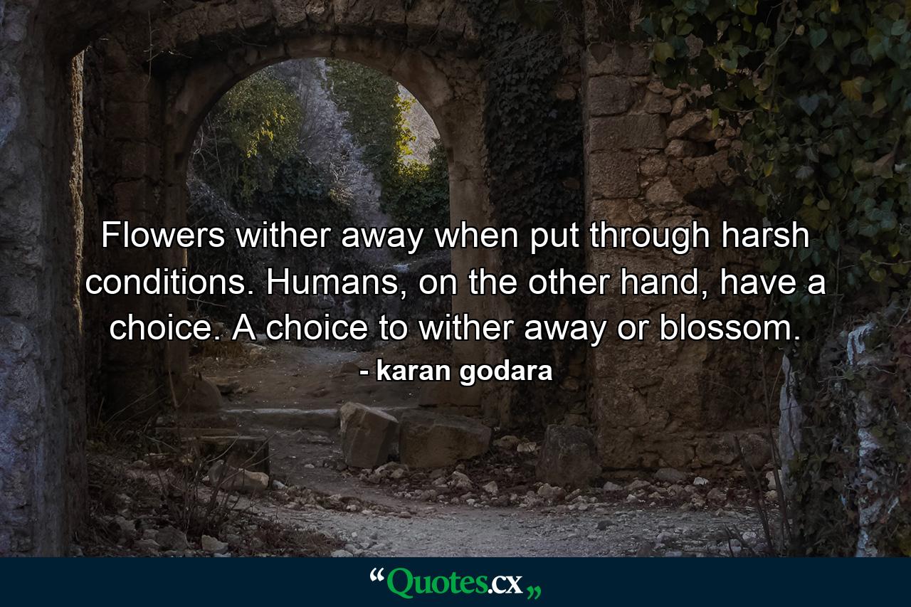 Flowers wither away when put through harsh conditions. Humans, on the other hand, have a choice. A choice to wither away or blossom. - Quote by karan godara