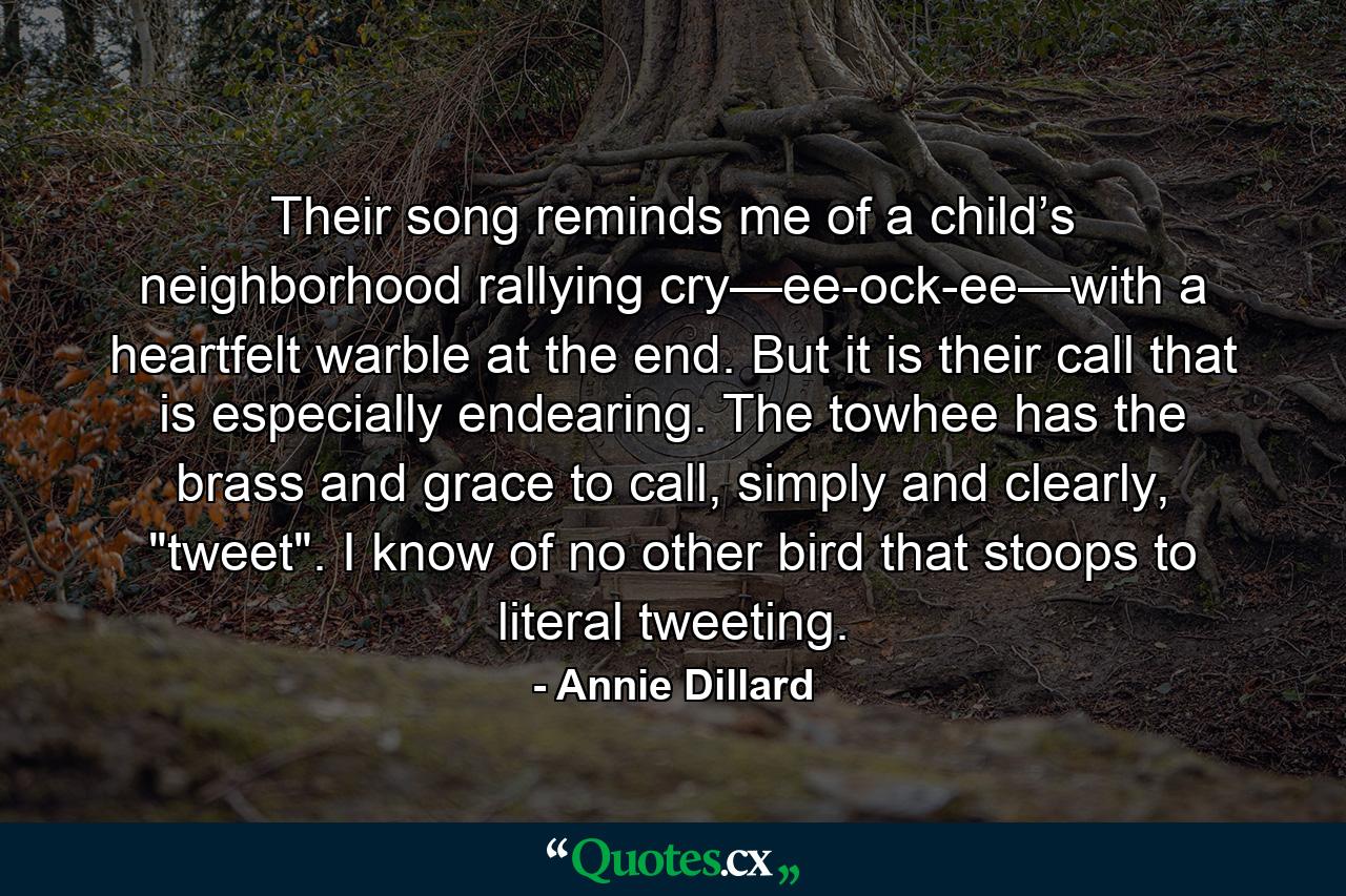 Their song reminds me of a child’s neighborhood rallying cry—ee-ock-ee—with a heartfelt warble at the end. But it is their call that is especially endearing. The towhee has the brass and grace to call, simply and clearly, 