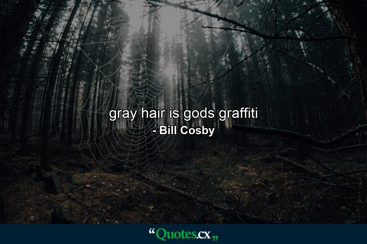 gray hair is gods graffiti - Quote by Bill Cosby