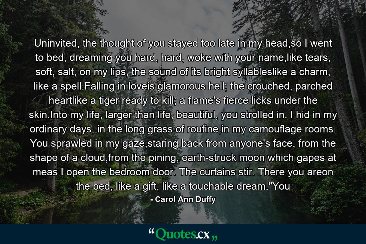 Uninvited, the thought of you stayed too late in my head,so I went to bed, dreaming you hard, hard, woke with your name,like tears, soft, salt, on my lips, the sound of its bright syllableslike a charm, like a spell.Falling in loveis glamorous hell; the crouched, parched heartlike a tiger ready to kill; a flame's fierce licks under the skin.Into my life, larger than life, beautiful, you strolled in. I hid in my ordinary days, in the long grass of routine,in my camouflage rooms. You sprawled in my gaze,staring back from anyone's face, from the shape of a cloud,from the pining, earth-struck moon which gapes at meas I open the bedroom door. The curtains stir. There you areon the bed, like a gift, like a touchable dream.