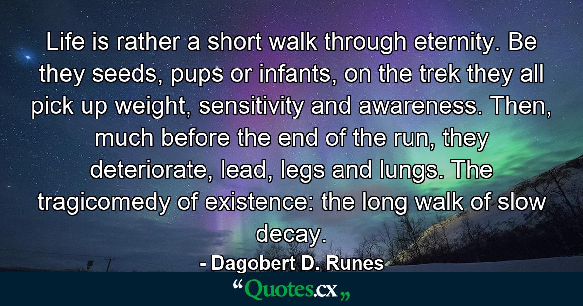 Life is rather a short walk through eternity. Be they seeds, pups or infants, on the trek they all pick up weight, sensitivity and awareness. Then, much before the end of the run, they deteriorate, lead, legs and lungs. The tragicomedy of existence: the long walk of slow decay. - Quote by Dagobert D. Runes