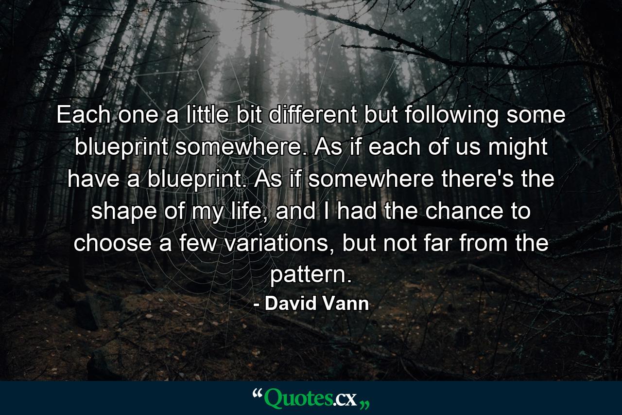 Each one a little bit different but following some blueprint somewhere. As if each of us might have a blueprint. As if somewhere there's the shape of my life, and I had the chance to choose a few variations, but not far from the pattern. - Quote by David Vann