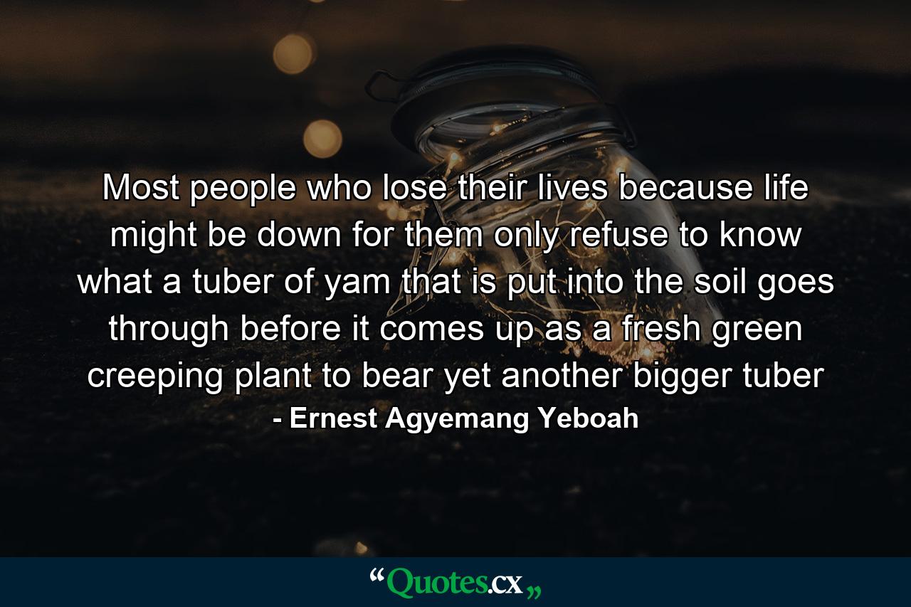 Most people who lose their lives because life might be down for them only refuse to know what a tuber of yam that is put into the soil goes through before it comes up as a fresh green creeping plant to bear yet another bigger tuber - Quote by Ernest Agyemang Yeboah