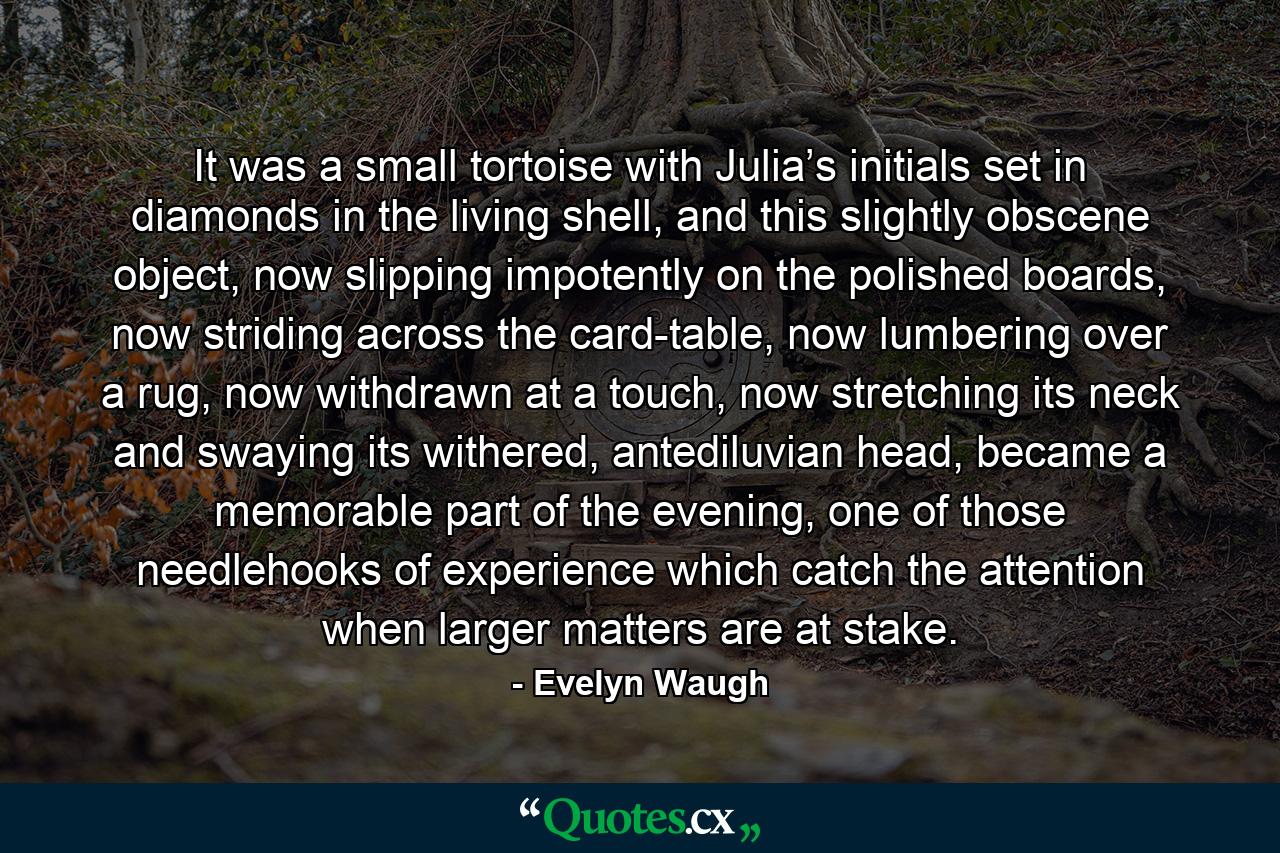 It was a small tortoise with Julia’s initials set in diamonds in the living shell, and this slightly obscene object, now slipping impotently on the polished boards, now striding across the card-table, now lumbering over a rug, now withdrawn at a touch, now stretching its neck and swaying its withered, antediluvian head, became a memorable part of the evening, one of those needlehooks of experience which catch the attention when larger matters are at stake. - Quote by Evelyn Waugh