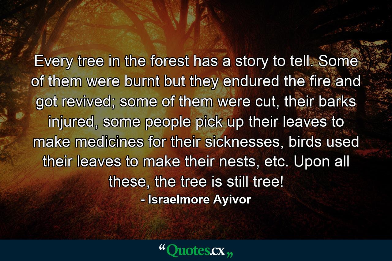 Every tree in the forest has a story to tell. Some of them were burnt but they endured the fire and got revived; some of them were cut, their barks injured, some people pick up their leaves to make medicines for their sicknesses, birds used their leaves to make their nests, etc. Upon all these, the tree is still tree! - Quote by Israelmore Ayivor