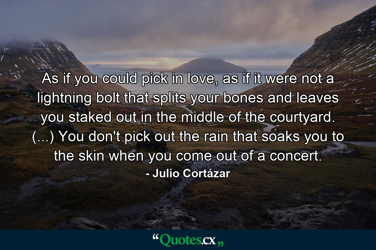 As if you could pick in love, as if it were not a lightning bolt that splits your bones and leaves you staked out in the middle of the courtyard. (...) You don't pick out the rain that soaks you to the skin when you come out of a concert. - Quote by Julio Cortázar