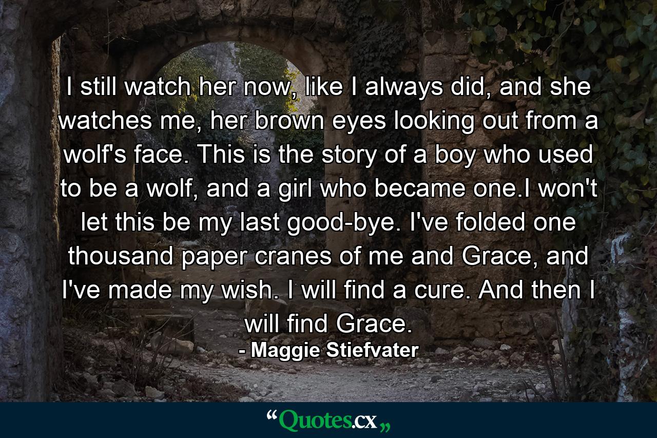 I still watch her now, like I always did, and she watches me, her brown eyes looking out from a wolf's face. This is the story of a boy who used to be a wolf, and a girl who became one.I won't let this be my last good-bye. I've folded one thousand paper cranes of me and Grace, and I've made my wish. I will find a cure. And then I will find Grace. - Quote by Maggie Stiefvater