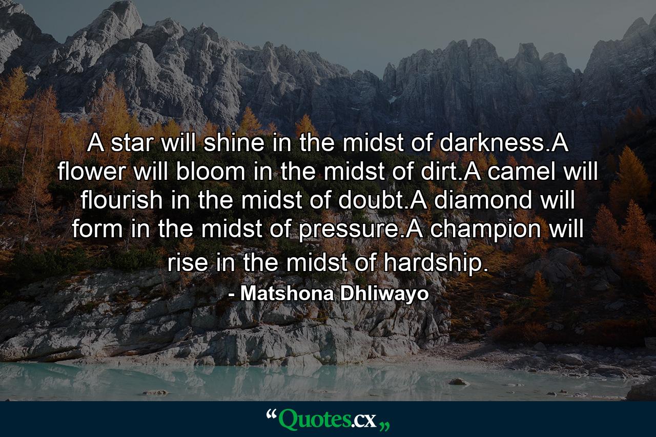 A star will shine in the midst of darkness.A flower will bloom in the midst of dirt.A camel will flourish in the midst of doubt.A diamond will form in the midst of pressure.A champion will rise in the midst of hardship. - Quote by Matshona Dhliwayo