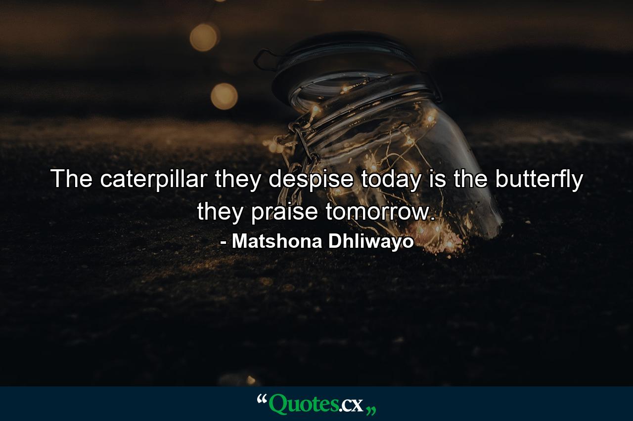 The caterpillar they despise today is the butterfly they praise tomorrow. - Quote by Matshona Dhliwayo