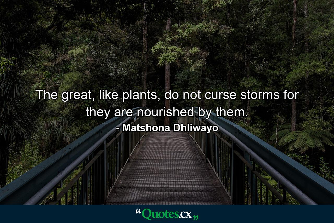 The great, like plants, do not curse storms for they are nourished by them. - Quote by Matshona Dhliwayo