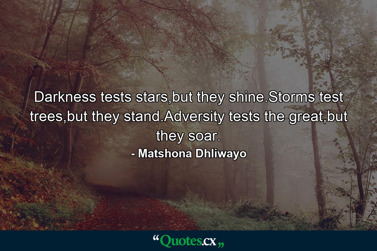 Darkness tests stars,but they shine.Storms test trees,but they stand.Adversity tests the great,but they soar. - Quote by Matshona Dhliwayo