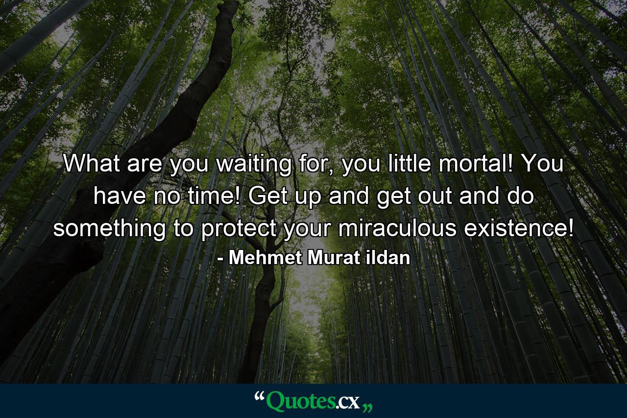 What are you waiting for, you little mortal! You have no time! Get up and get out and do something to protect your miraculous existence! - Quote by Mehmet Murat ildan