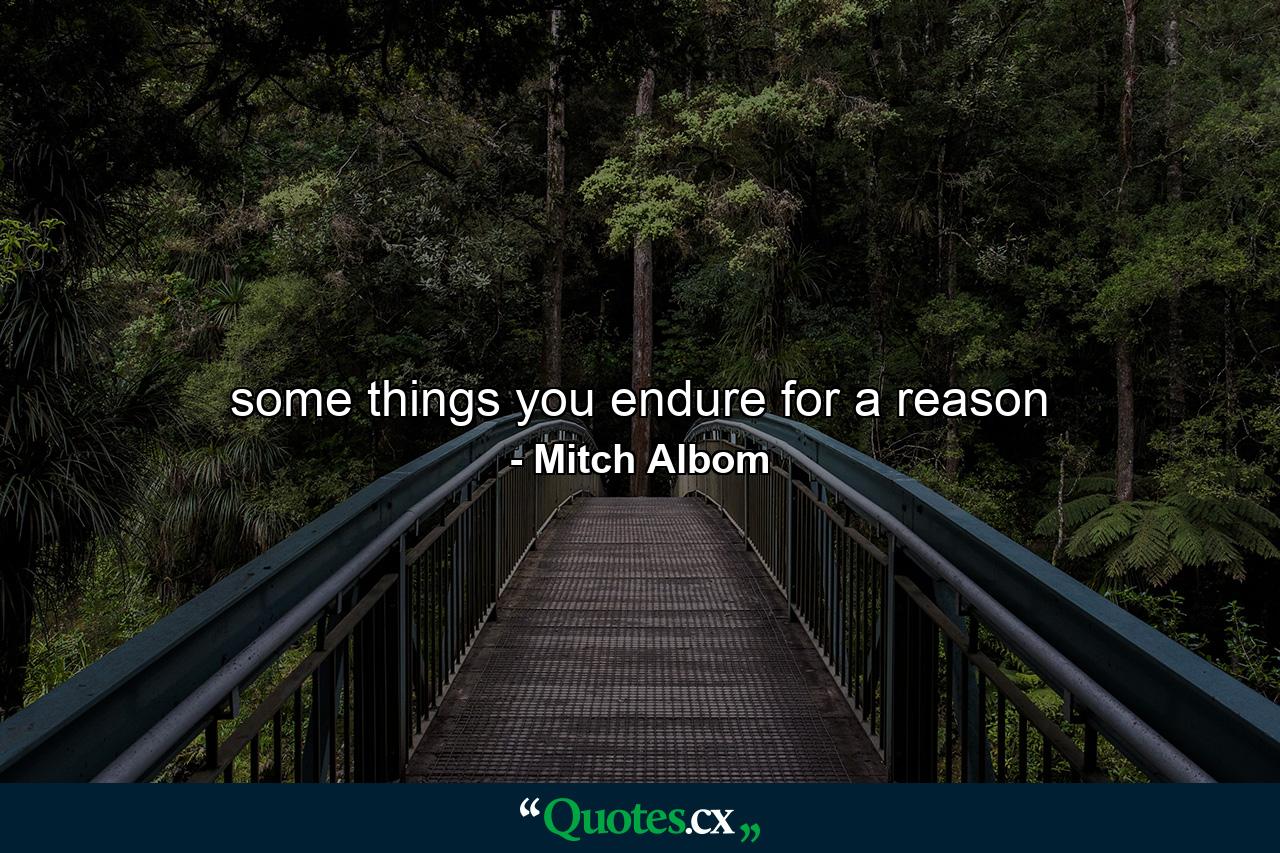 some things you endure for a reason - Quote by Mitch Albom