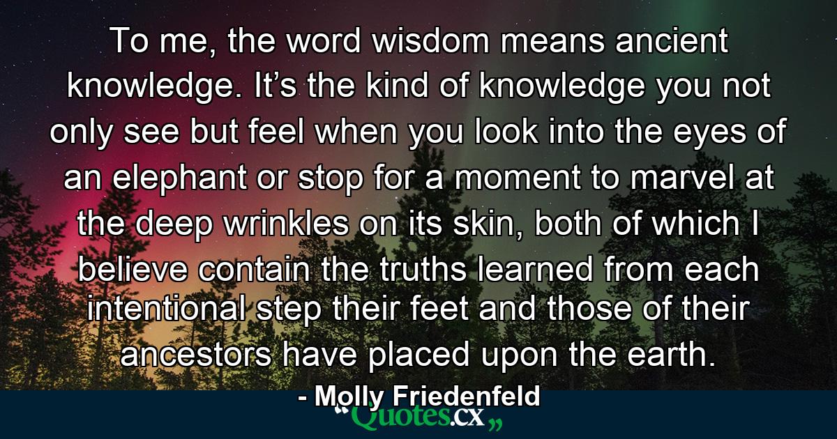 To me, the word wisdom means ancient knowledge. It’s the kind of knowledge you not only see but feel when you look into the eyes of an elephant or stop for a moment to marvel at the deep wrinkles on its skin, both of which I believe contain the truths learned from each intentional step their feet and those of their ancestors have placed upon the earth. - Quote by Molly Friedenfeld