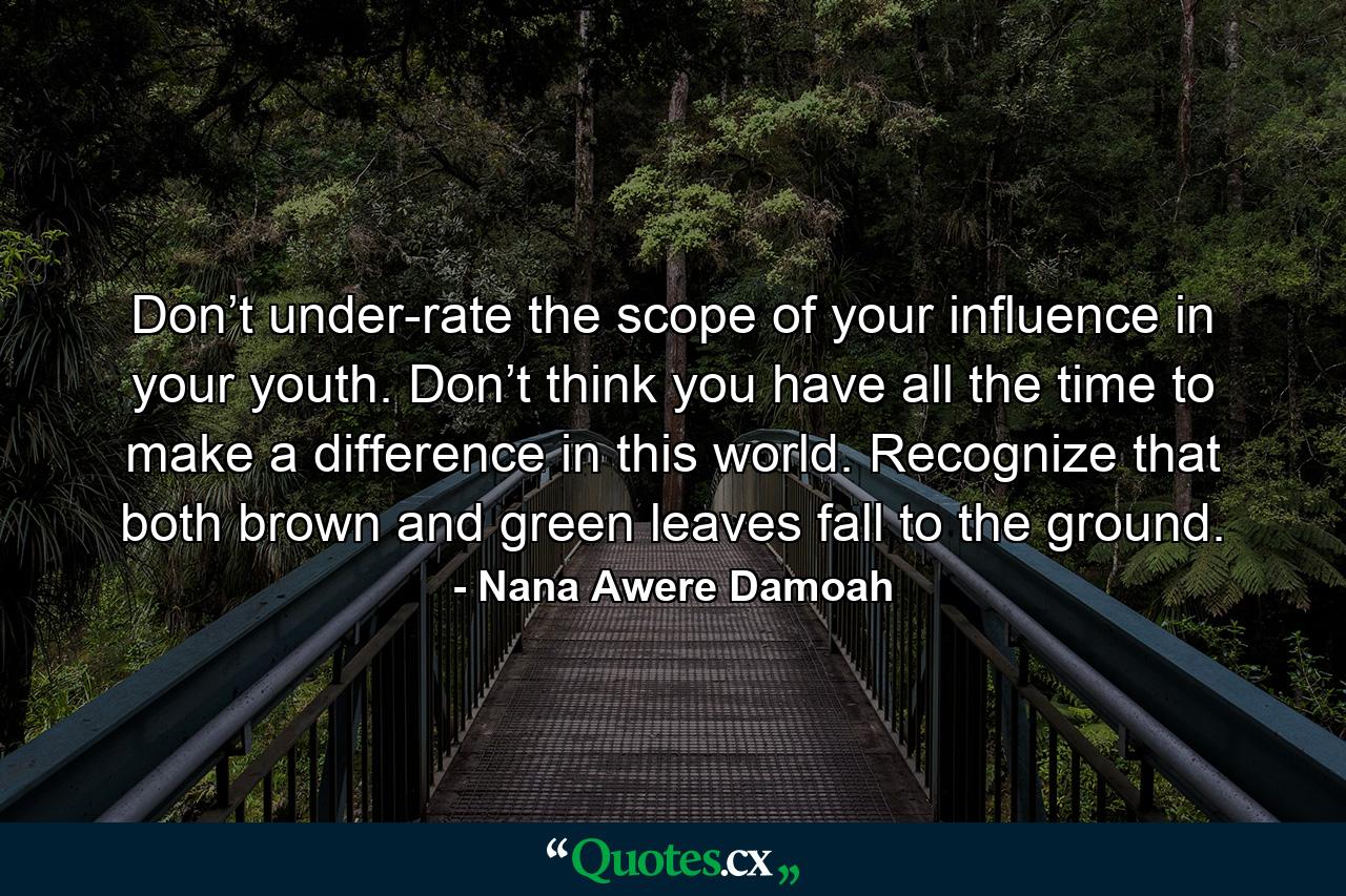 Don’t under-rate the scope of your influence in your youth. Don’t think you have all the time to make a difference in this world. Recognize that both brown and green leaves fall to the ground. - Quote by Nana Awere Damoah