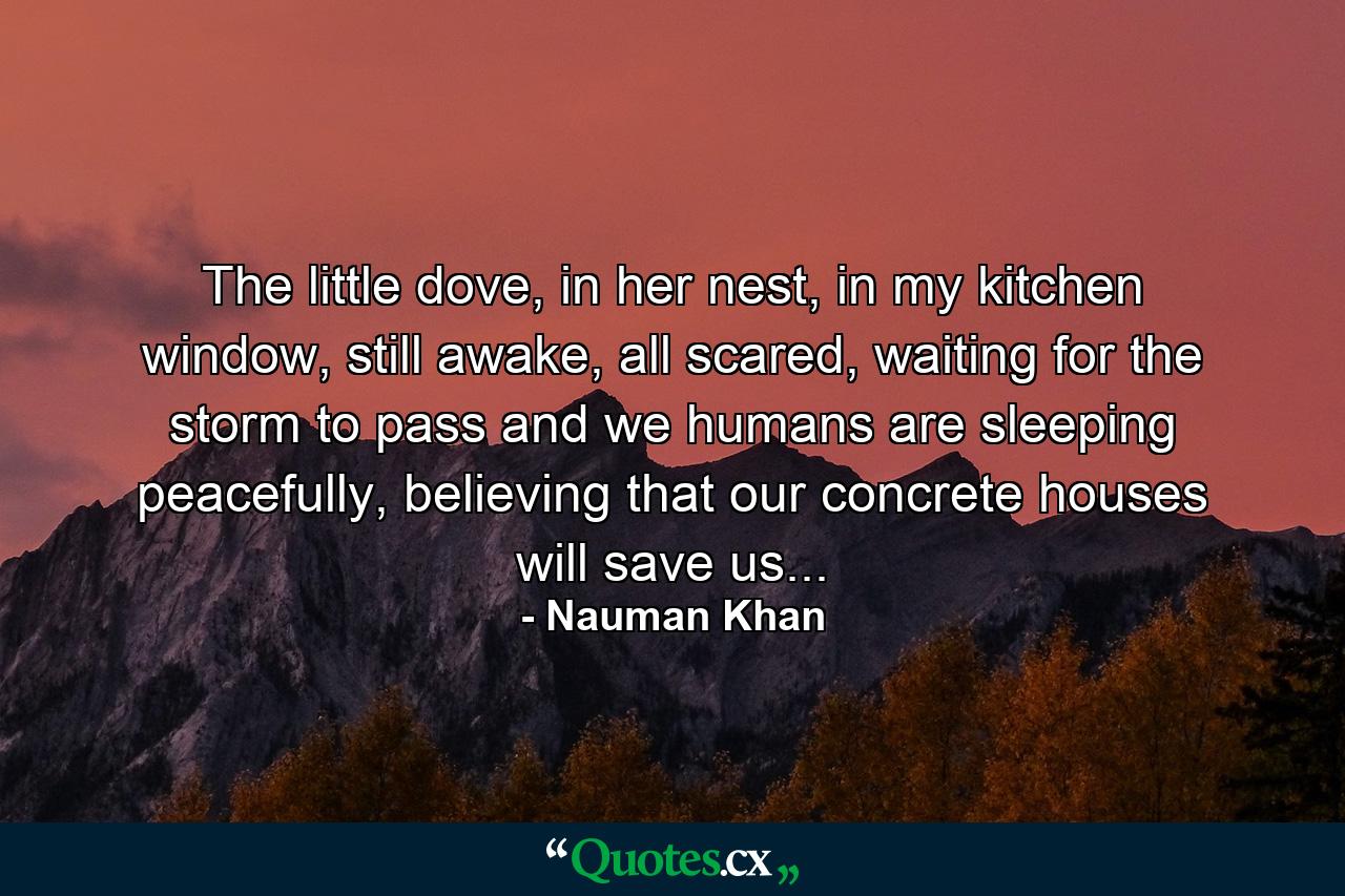 The little dove, in her nest, in my kitchen window, still awake, all scared, waiting for the storm to pass and we humans are sleeping peacefully, believing that our concrete houses will save us... - Quote by Nauman Khan