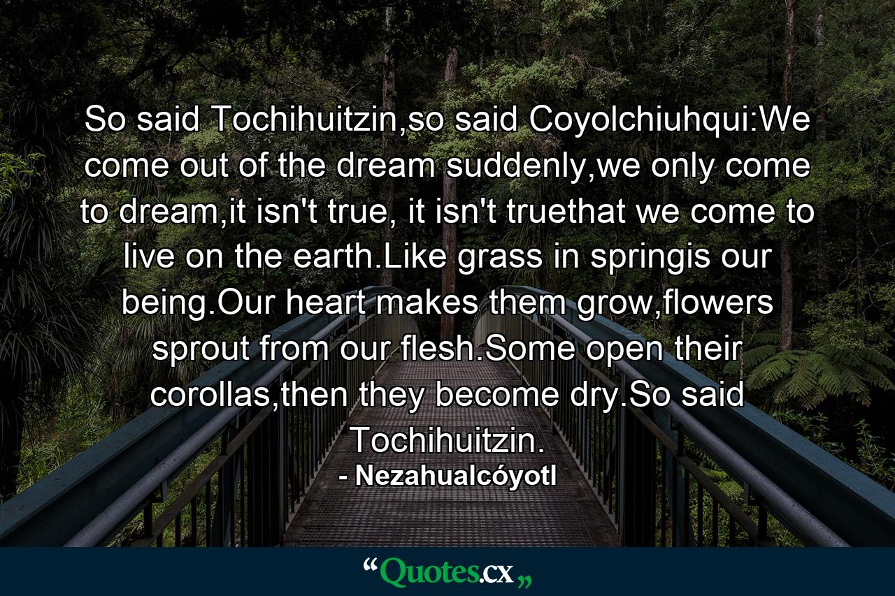 So said Tochihuitzin,so said Coyolchiuhqui:We come out of the dream suddenly,we only come to dream,it isn't true, it isn't truethat we come to live on the earth.Like grass in springis our being.Our heart makes them grow,flowers sprout from our flesh.Some open their corollas,then they become dry.So said Tochihuitzin. - Quote by Nezahualcóyotl