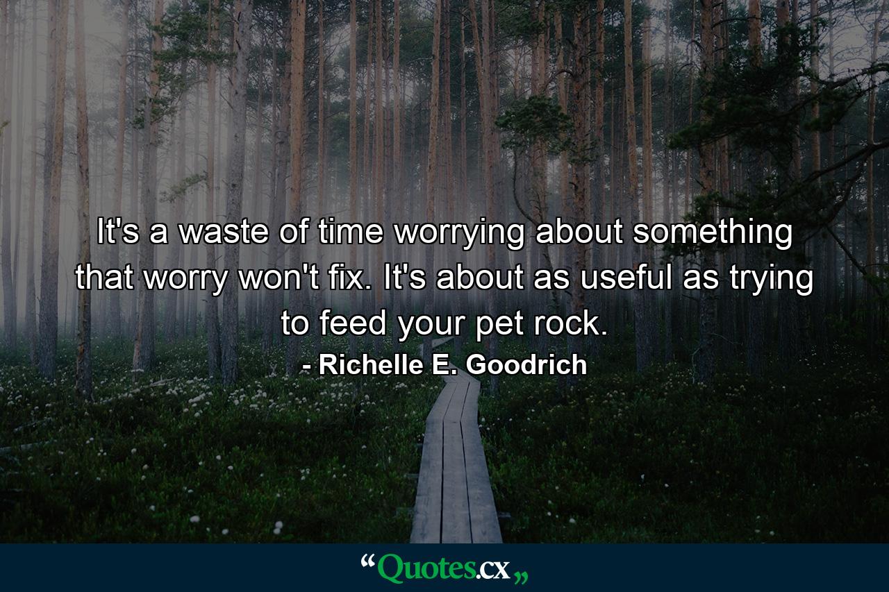 It's a waste of time worrying about something that worry won't fix. It's about as useful as trying to feed your pet rock. - Quote by Richelle E. Goodrich