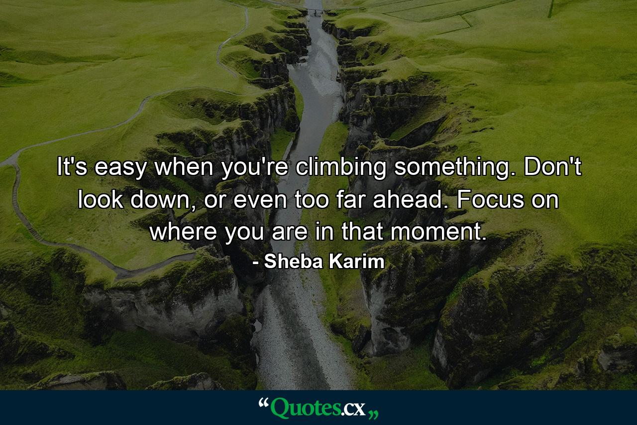 It's easy when you're climbing something. Don't look down, or even too far ahead. Focus on where you are in that moment. - Quote by Sheba Karim