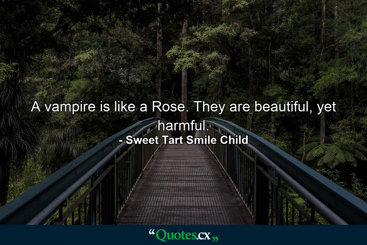 A vampire is like a Rose. They are beautiful, yet harmful. - Quote by Sweet Tart Smile Child