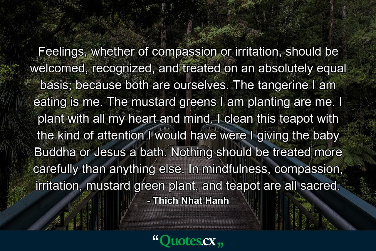 Feelings, whether of compassion or irritation, should be welcomed, recognized, and treated on an absolutely equal basis; because both are ourselves. The tangerine I am eating is me. The mustard greens I am planting are me. I plant with all my heart and mind. I clean this teapot with the kind of attention I would have were I giving the baby Buddha or Jesus a bath. Nothing should be treated more carefully than anything else. In mindfulness, compassion, irritation, mustard green plant, and teapot are all sacred. - Quote by Thich Nhat Hanh