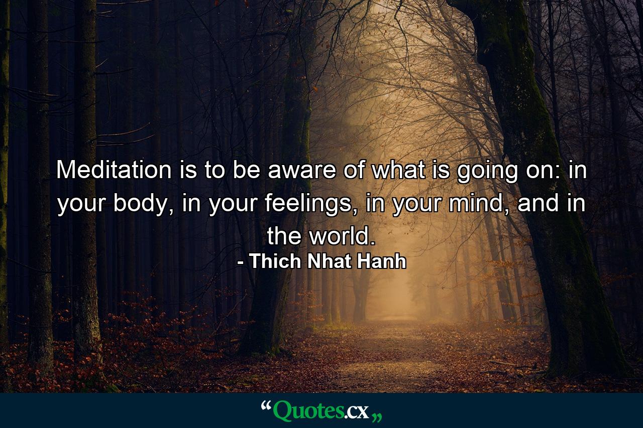 Meditation is to be aware of what is going on: in your body, in your feelings, in your mind, and in the world. - Quote by Thich Nhat Hanh