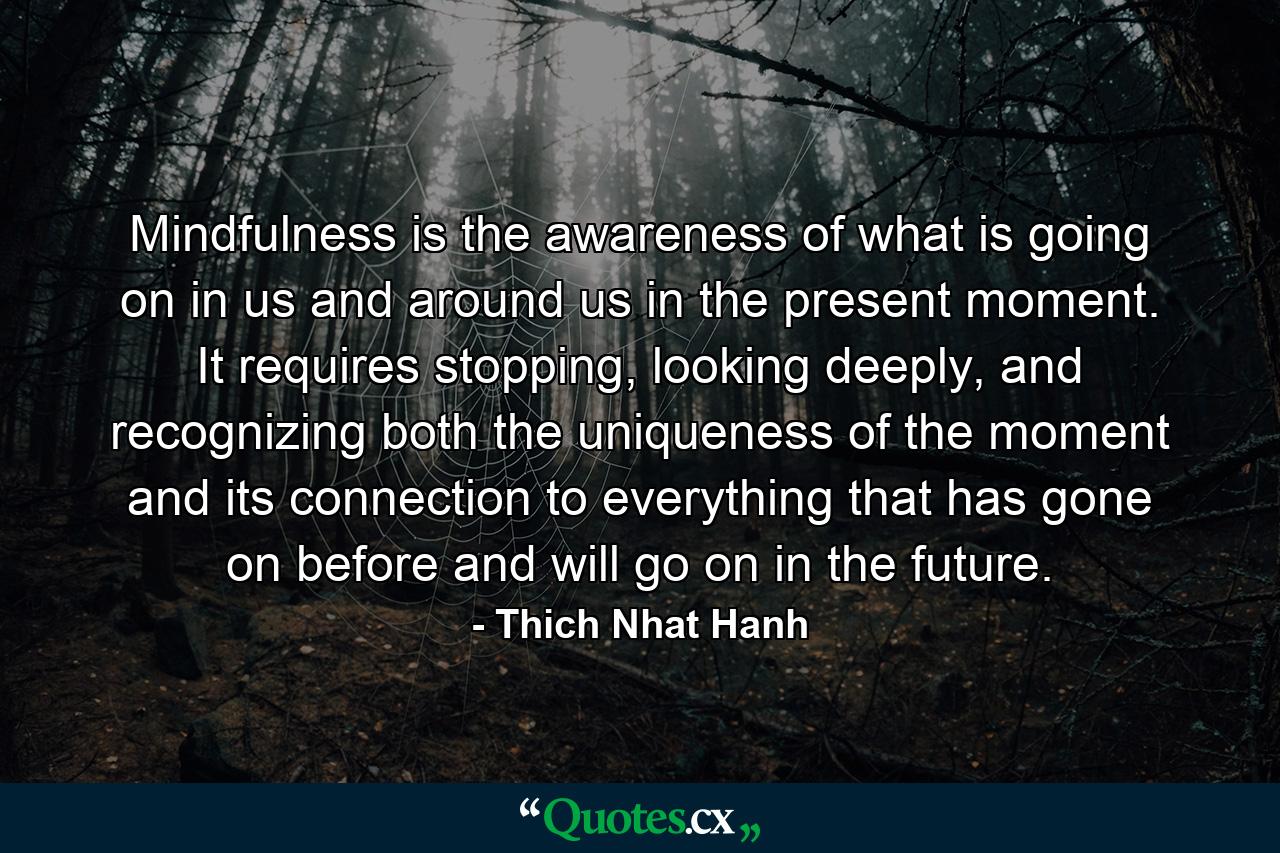 Mindfulness is the awareness of what is going on in us and around us in the present moment. It requires stopping, looking deeply, and recognizing both the uniqueness of the moment and its connection to everything that has gone on before and will go on in the future. - Quote by Thich Nhat Hanh