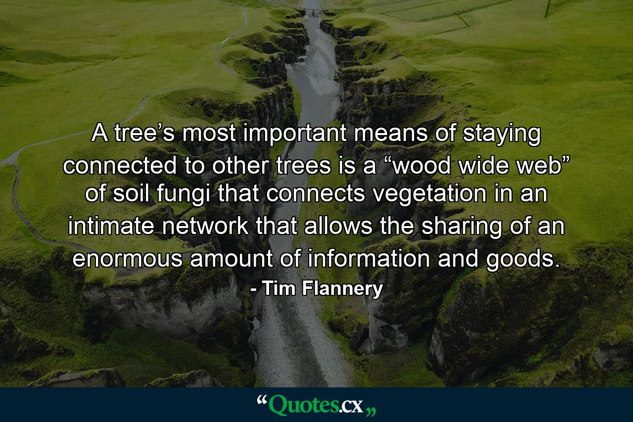 A tree’s most important means of staying connected to other trees is a “wood wide web” of soil fungi that connects vegetation in an intimate network that allows the sharing of an enormous amount of information and goods. - Quote by Tim Flannery