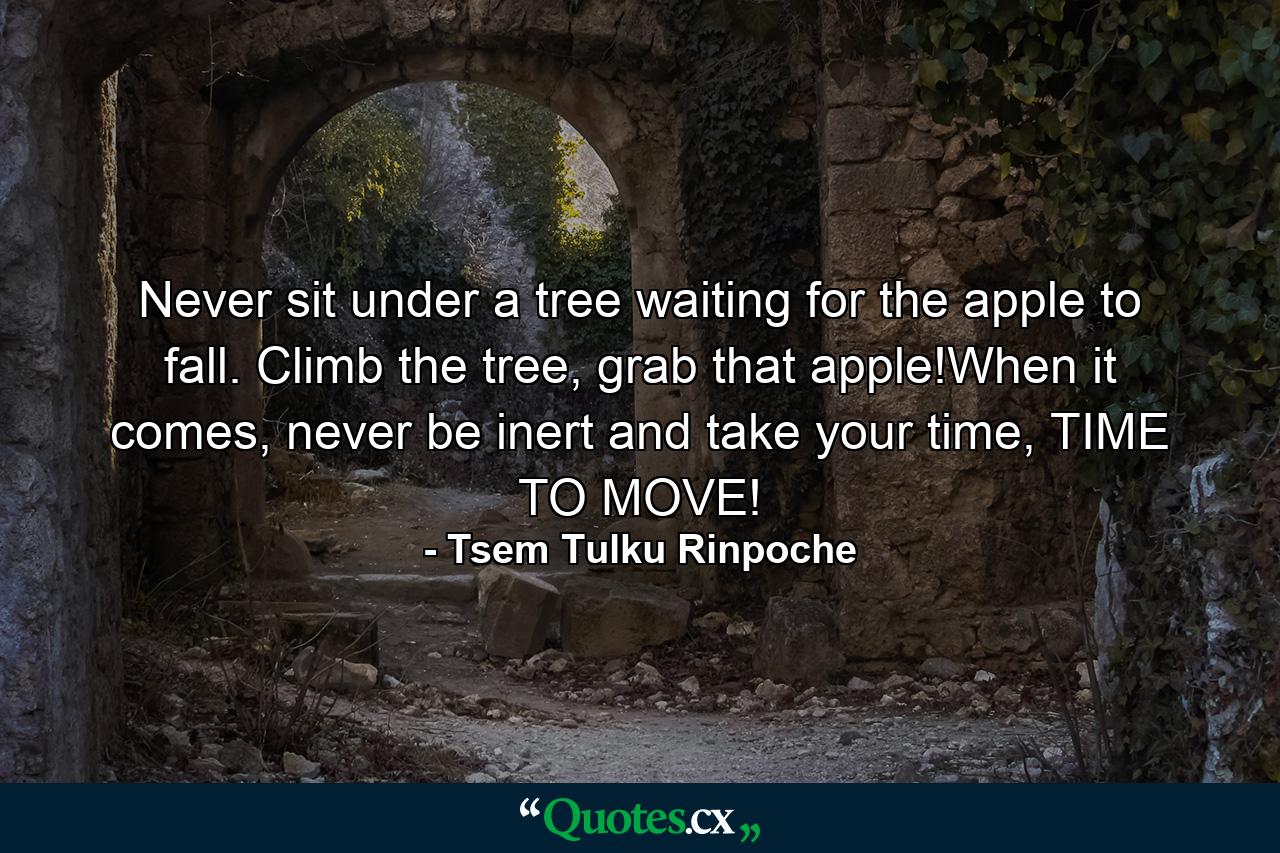 Never sit under a tree waiting for the apple to fall. Climb the tree, grab that apple!When it comes, never be inert and take your time, TIME TO MOVE! - Quote by Tsem Tulku Rinpoche