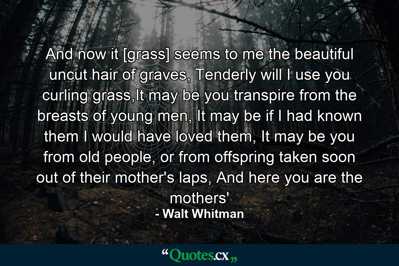 And now it [grass] seems to me the beautiful uncut hair of graves, Tenderly will I use you curling grass,It may be you transpire from the breasts of young men, It may be if I had known them I would have loved them, It may be you from old people, or from offspring taken soon out of their mother's laps,  And here you are the mothers' - Quote by Walt Whitman