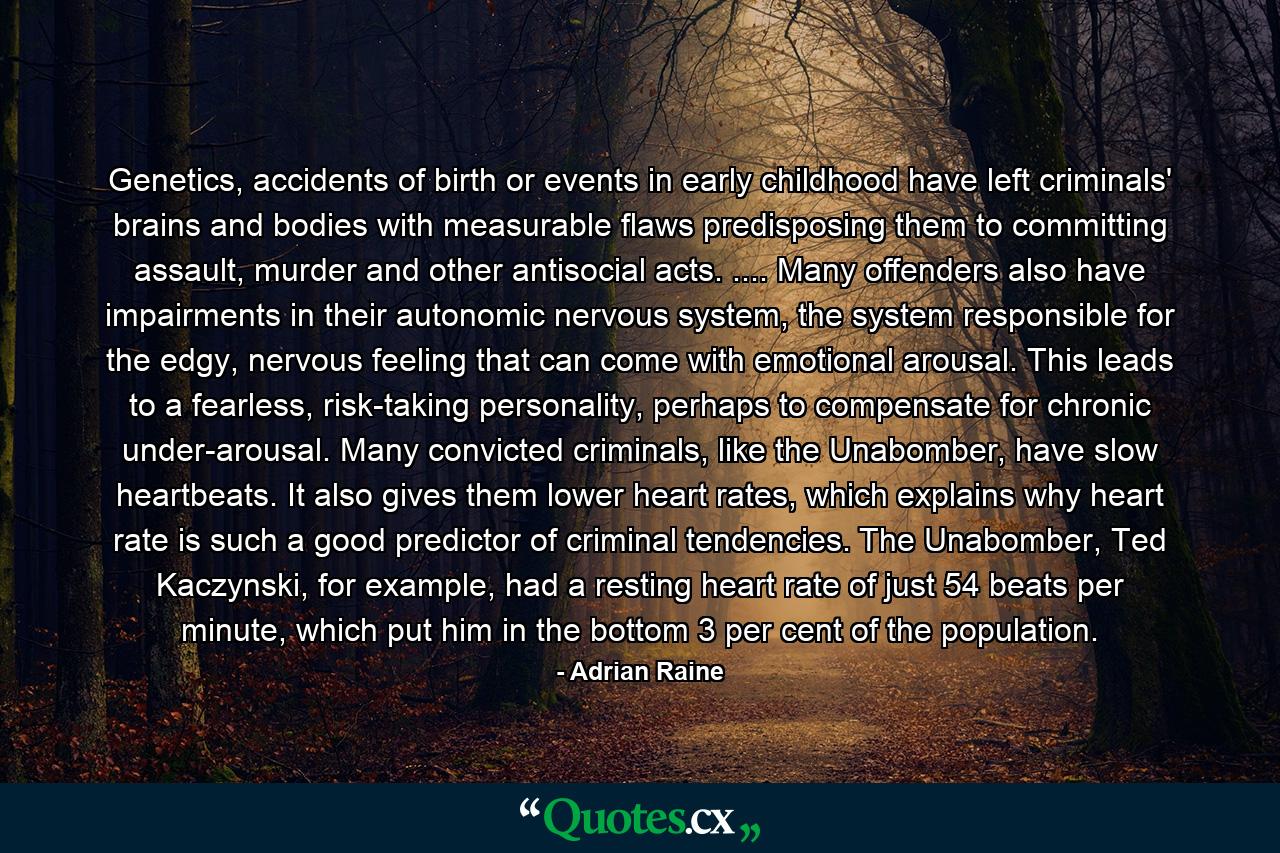 Genetics, accidents of birth or events in early childhood have left criminals' brains and bodies with measurable flaws predisposing them to committing assault, murder and other antisocial acts. .... Many offenders also have impairments in their autonomic nervous system, the system responsible for the edgy, nervous feeling that can come with emotional arousal. This leads to a fearless, risk-taking personality, perhaps to compensate for chronic under-arousal. Many convicted criminals, like the Unabomber, have slow heartbeats. It also gives them lower heart rates, which explains why heart rate is such a good predictor of criminal tendencies. The Unabomber, Ted Kaczynski, for example, had a resting heart rate of just 54 beats per minute, which put him in the bottom 3 per cent of the population. - Quote by Adrian Raine