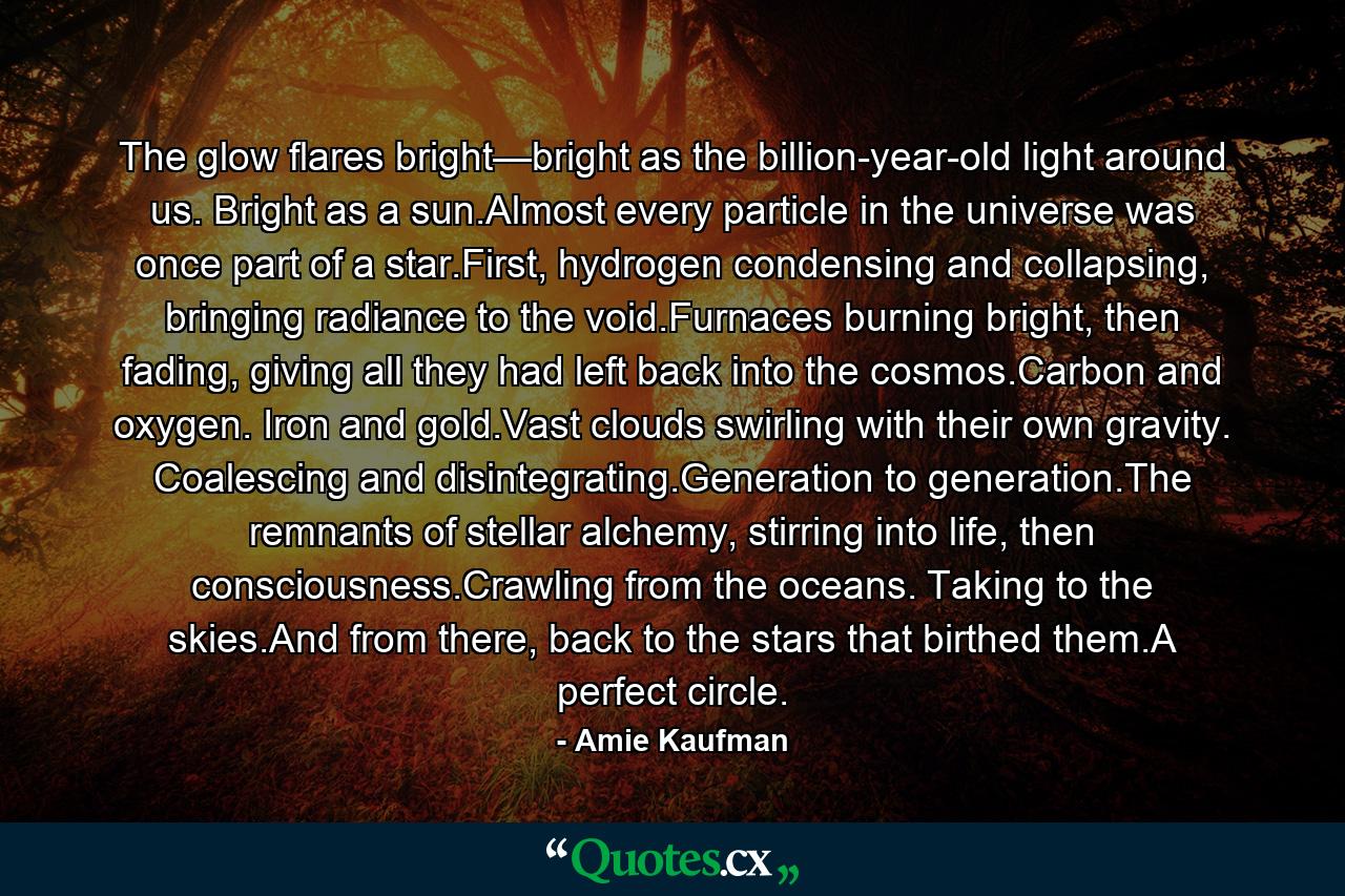 The glow flares bright—bright as the billion-year-old light around us. Bright as a sun.Almost every particle in the universe was once part of a star.First, hydrogen condensing and collapsing, bringing radiance to the void.Furnaces burning bright, then fading, giving all they had left back into the cosmos.Carbon and oxygen. Iron and gold.Vast clouds swirling with their own gravity. Coalescing and disintegrating.Generation to generation.The remnants of stellar alchemy, stirring into life, then consciousness.Crawling from the oceans. Taking to the skies.And from there, back to the stars that birthed them.A perfect circle. - Quote by Amie Kaufman