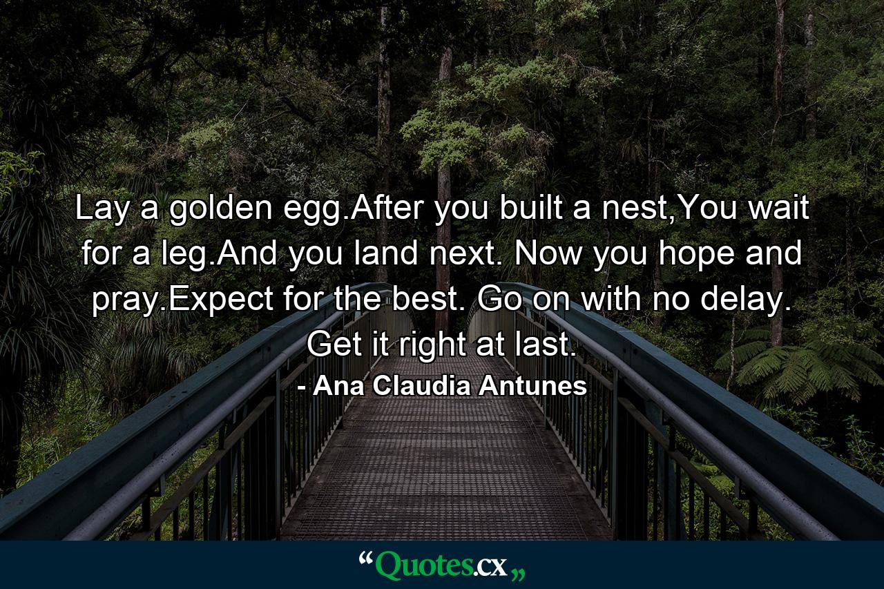 Lay a golden egg.After you built a nest,You wait for a leg.And you land next. Now you hope and pray.Expect for the best. Go on with no delay. Get it right at last. - Quote by Ana Claudia Antunes