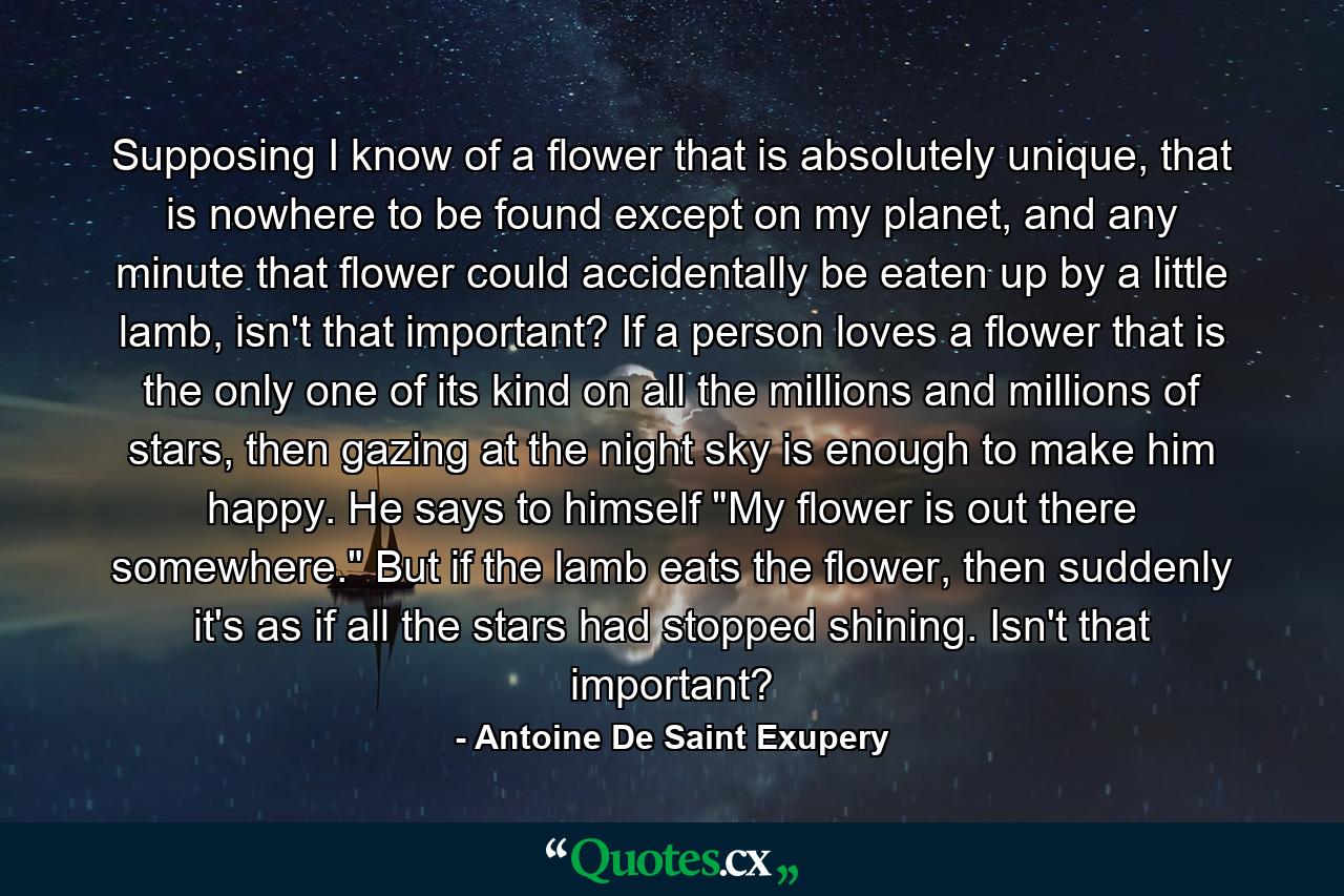 Supposing I know of a flower that is absolutely unique, that is nowhere to be found except on my planet, and any minute that flower could accidentally be eaten up by a little lamb, isn't that important? If a person loves a flower that is the only one of its kind on all the millions and millions of stars, then gazing at the night sky is enough to make him happy. He says to himself 