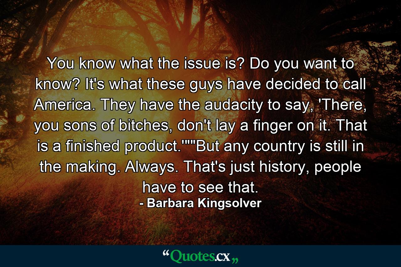 You know what the issue is? Do you want to know? It's what these guys have decided to call America. They have the audacity to say, 'There, you sons of bitches, don't lay a finger on it. That is a finished product.'