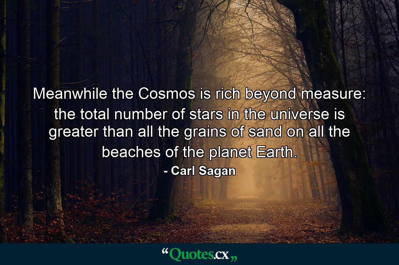 Meanwhile the Cosmos is rich beyond measure: the total number of stars in the universe is greater than all the grains of sand on all the beaches of the planet Earth. - Quote by Carl Sagan