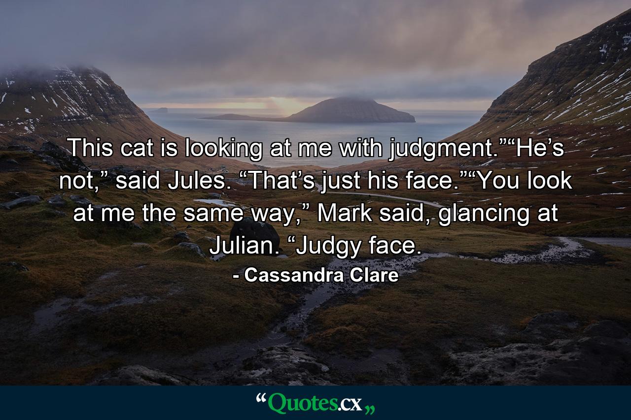 This cat is looking at me with judgment.”“He’s not,” said Jules. “That’s just his face.”“You look at me the same way,” Mark said, glancing at Julian. “Judgy face. - Quote by Cassandra Clare