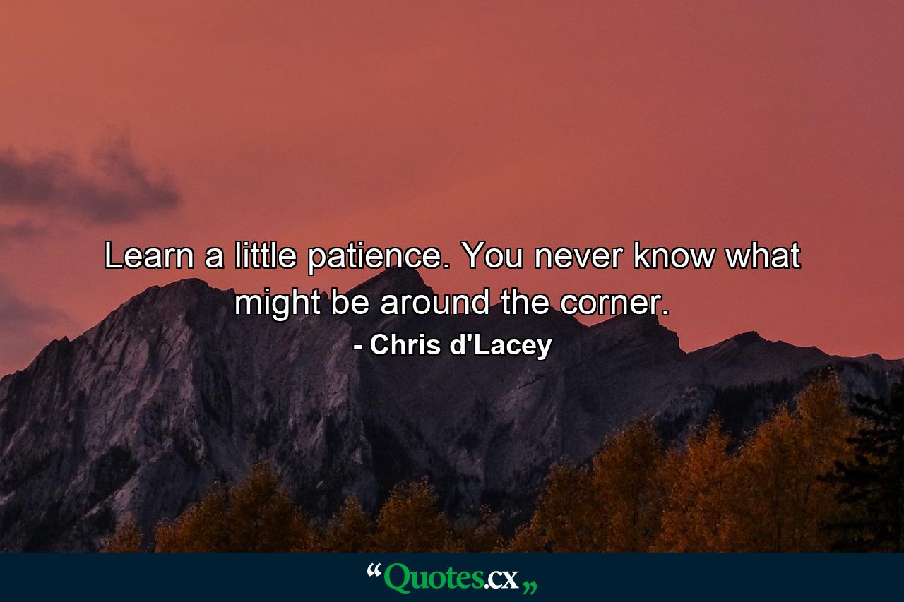 Learn a little patience. You never know what might be around the corner. - Quote by Chris d'Lacey