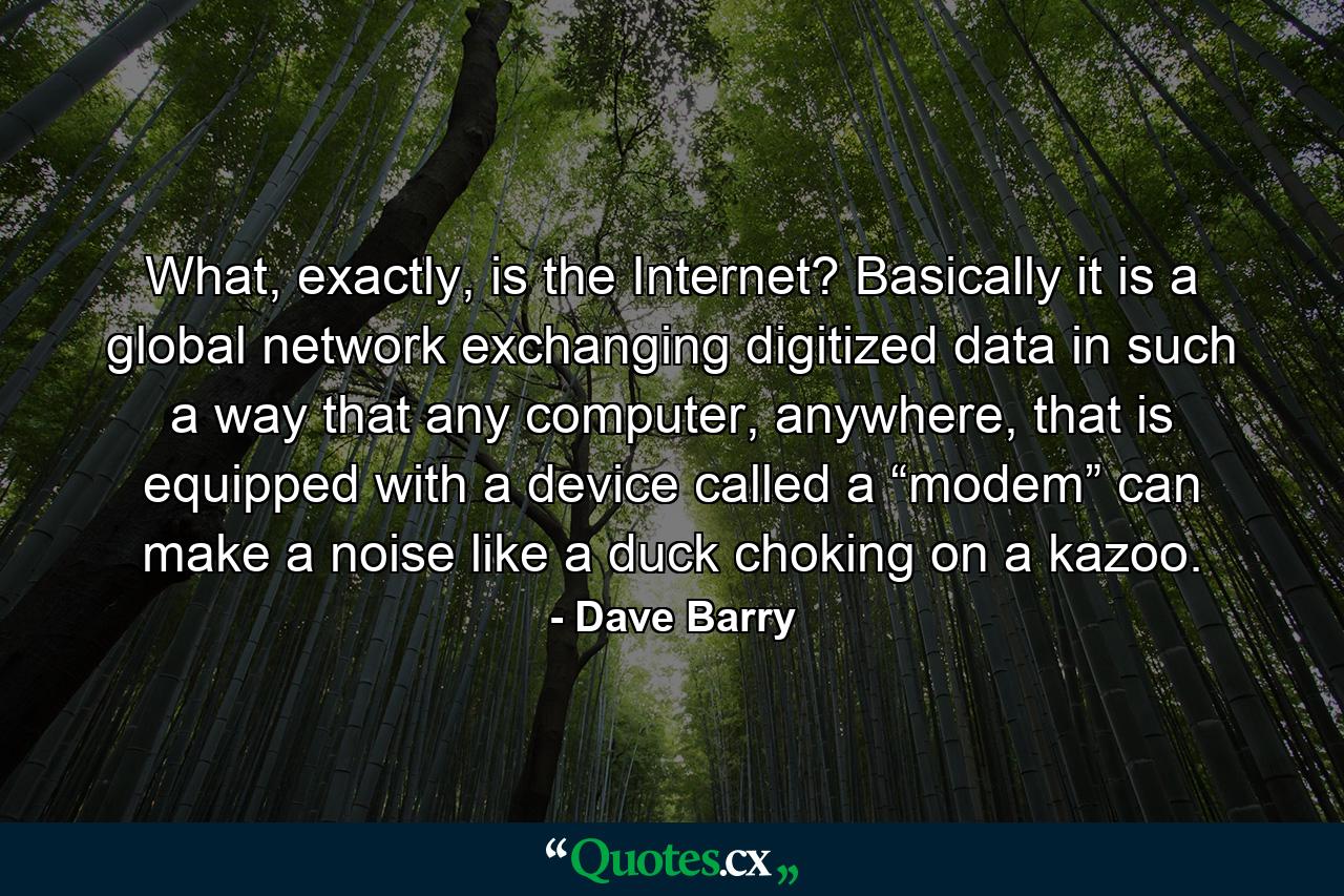 What, exactly, is the Internet? Basically it is a global network exchanging digitized data in such a way that any computer, anywhere, that is equipped with a device called a “modem” can make a noise like a duck choking on a kazoo. - Quote by Dave Barry