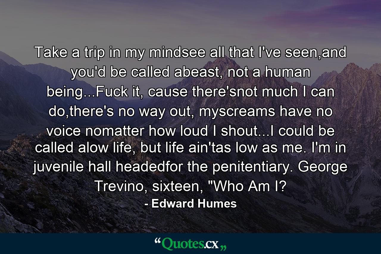 Take a trip in my mindsee all that I've seen,and you'd be called abeast, not a human being...Fuck it, cause there'snot much I can do,there's no way out, myscreams have no voice nomatter how loud I shout...I could be called alow life, but life ain'tas low as me. I'm in juvenile hall headedfor the penitentiary. George Trevino, sixteen, 