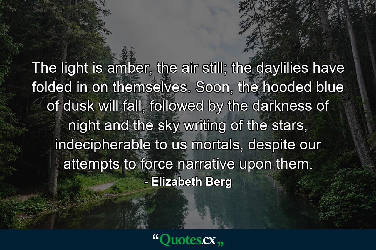 The light is amber, the air still; the daylilies have folded in on themselves. Soon, the hooded blue of dusk will fall, followed by the darkness of night and the sky writing of the stars, indecipherable to us mortals, despite our attempts to force narrative upon them. - Quote by Elizabeth Berg