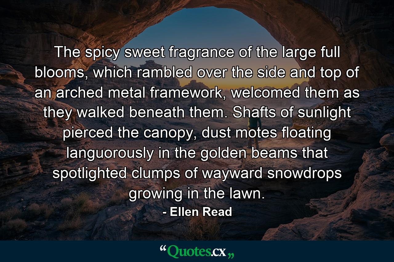 The spicy sweet fragrance of the large full blooms, which rambled over the side and top of an arched metal framework, welcomed them as they walked beneath them. Shafts of sunlight pierced the canopy, dust motes floating languorously in the golden beams that spotlighted clumps of wayward snowdrops growing in the lawn. - Quote by Ellen Read