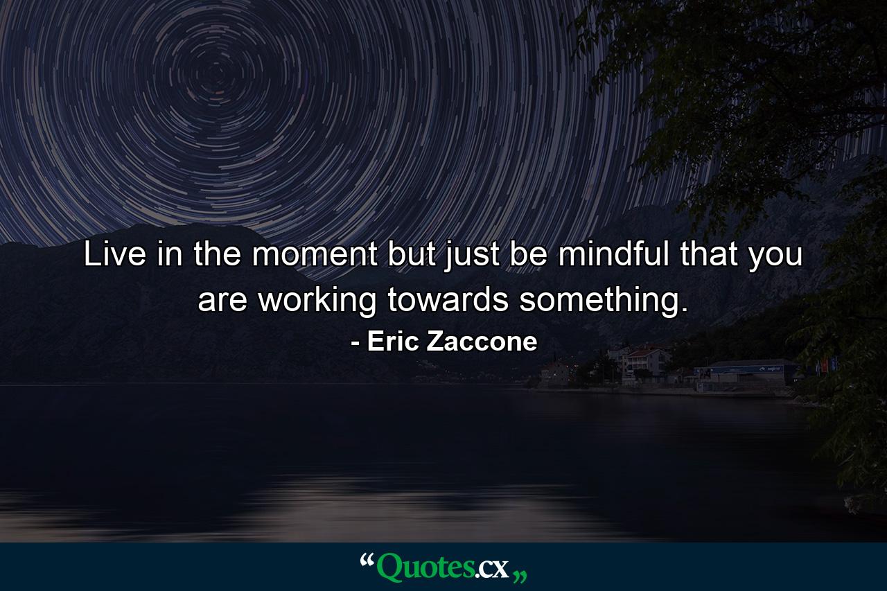 Live in the moment but just be mindful that you are working towards something. - Quote by Eric Zaccone