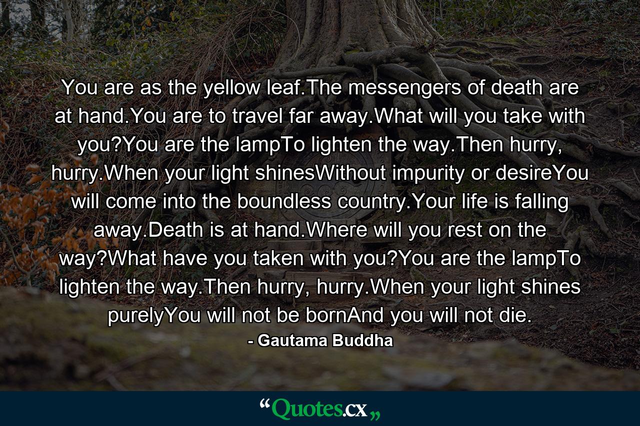 You are as the yellow leaf.The messengers of death are at hand.You are to travel far away.What will you take with you?You are the lampTo lighten the way.Then hurry, hurry.When your light shinesWithout impurity or desireYou will come into the boundless country.Your life is falling away.Death is at hand.Where will you rest on the way?What have you taken with you?You are the lampTo lighten the way.Then hurry, hurry.When your light shines purelyYou will not be bornAnd you will not die. - Quote by Gautama Buddha