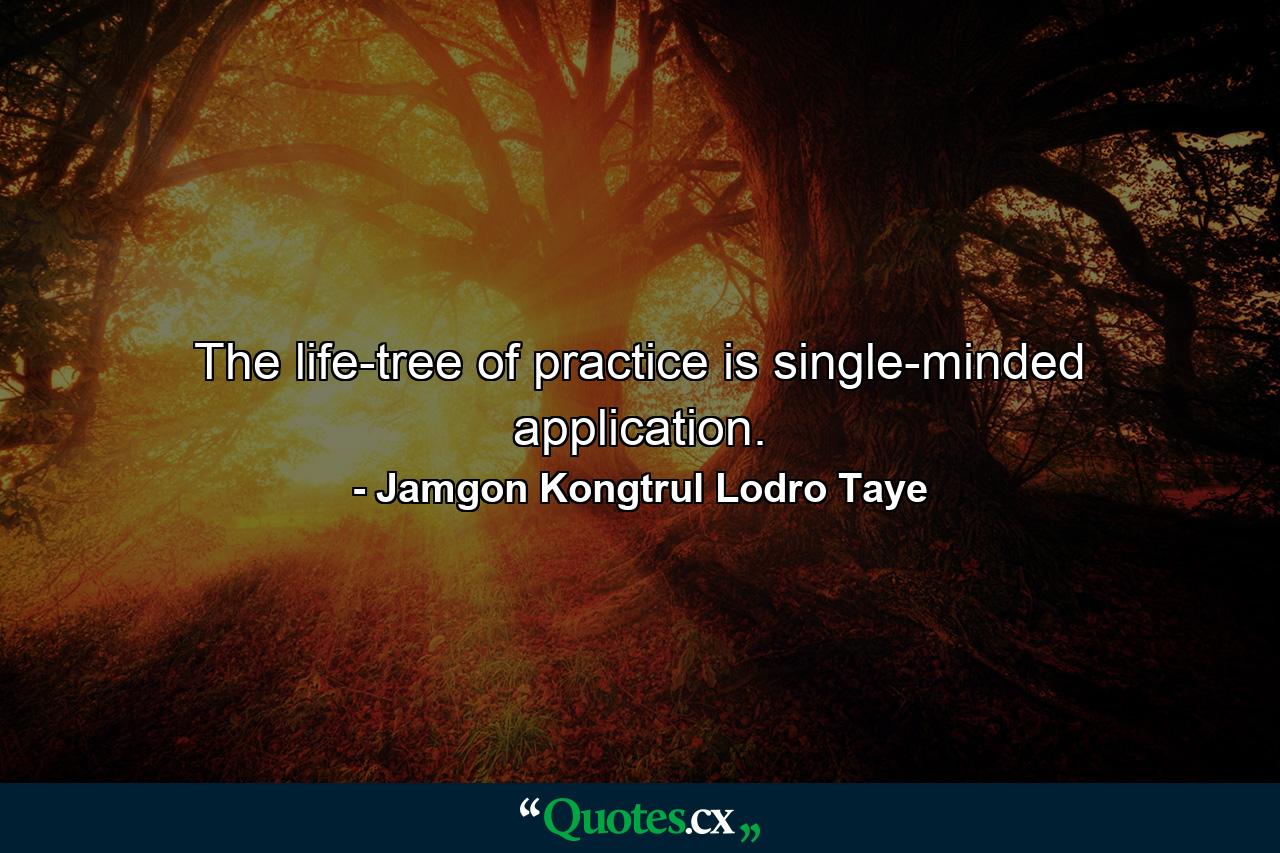 The life-tree of practice is single-minded application. - Quote by Jamgon Kongtrul Lodro Taye