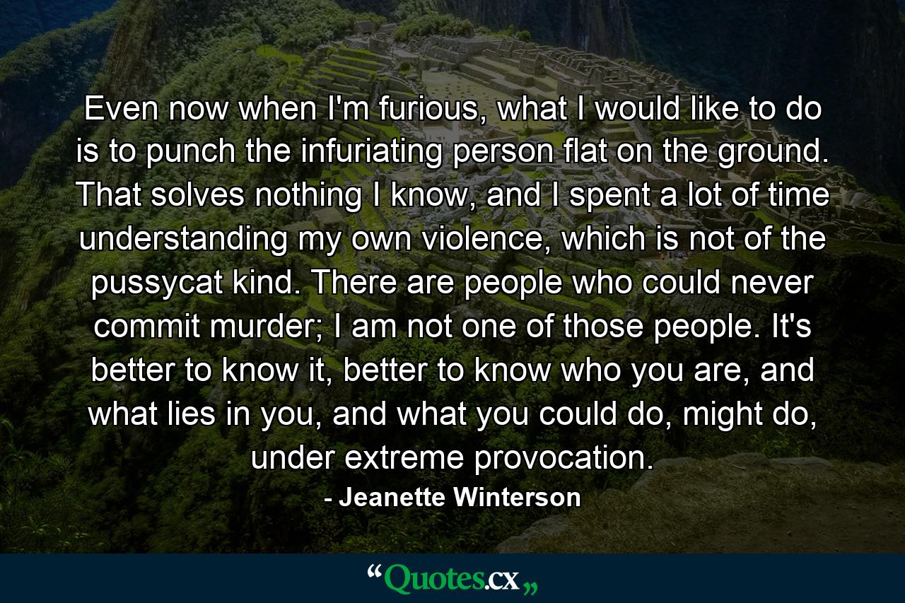 Even now when I'm furious, what I would like to do is to punch the infuriating person flat on the ground. That solves nothing I know, and I spent a lot of time understanding my own violence, which is not of the pussycat kind. There are people who could never commit murder; I am not one of those people. It's better to know it, better to know who you are, and what lies in you, and what you could do, might do, under extreme provocation. - Quote by Jeanette Winterson