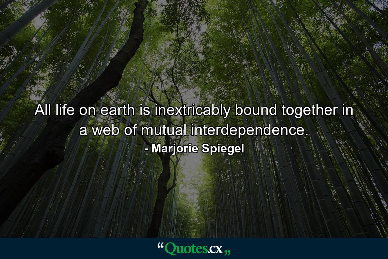 All life on earth is inextricably bound together in a web of mutual interdependence. - Quote by Marjorie Spiegel