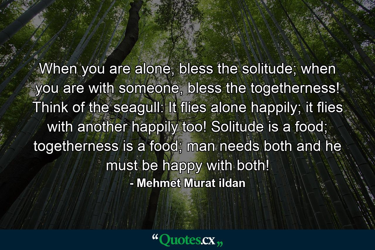 When you are alone, bless the solitude; when you are with someone, bless the togetherness! Think of the seagull: It flies alone happily; it flies with another happily too! Solitude is a food; togetherness is a food; man needs both and he must be happy with both! - Quote by Mehmet Murat ildan