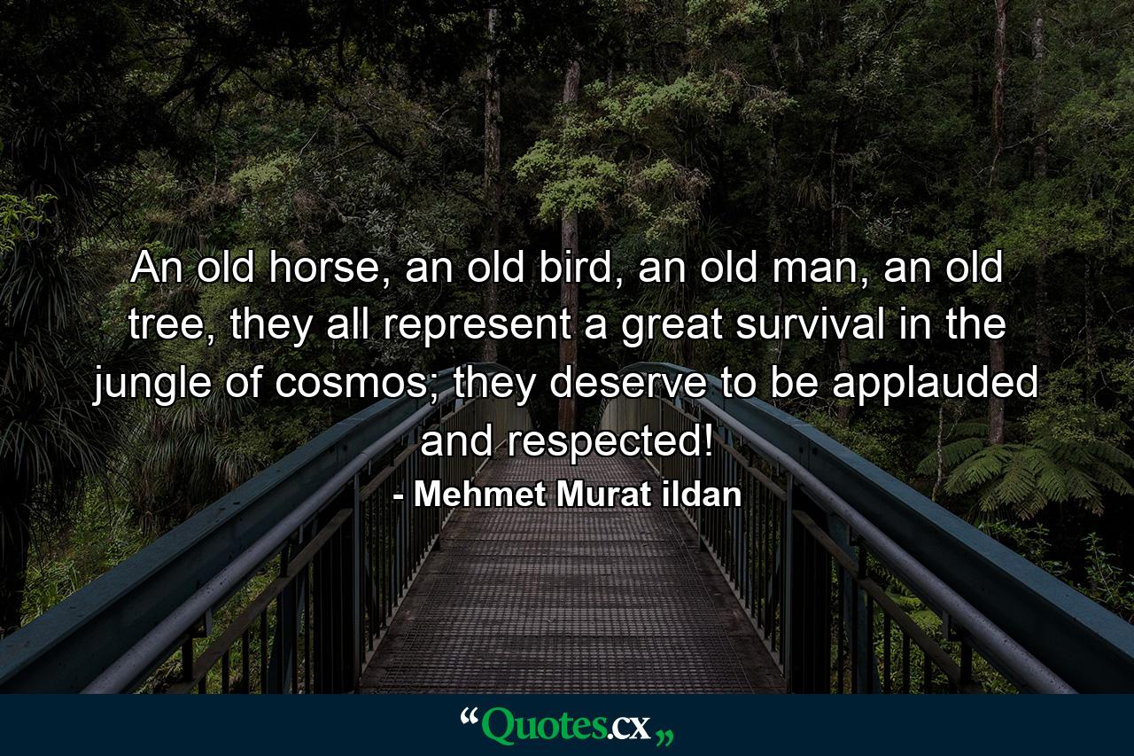 An old horse, an old bird, an old man, an old tree, they all represent a great survival in the jungle of cosmos; they deserve to be applauded and respected! - Quote by Mehmet Murat ildan