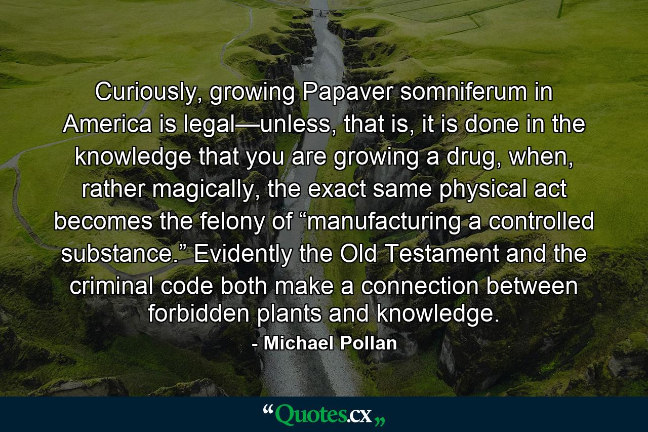 Curiously, growing Papaver somniferum in America is legal—unless, that is, it is done in the knowledge that you are growing a drug, when, rather magically, the exact same physical act becomes the felony of “manufacturing a controlled substance.” Evidently the Old Testament and the criminal code both make a connection between forbidden plants and knowledge. - Quote by Michael Pollan